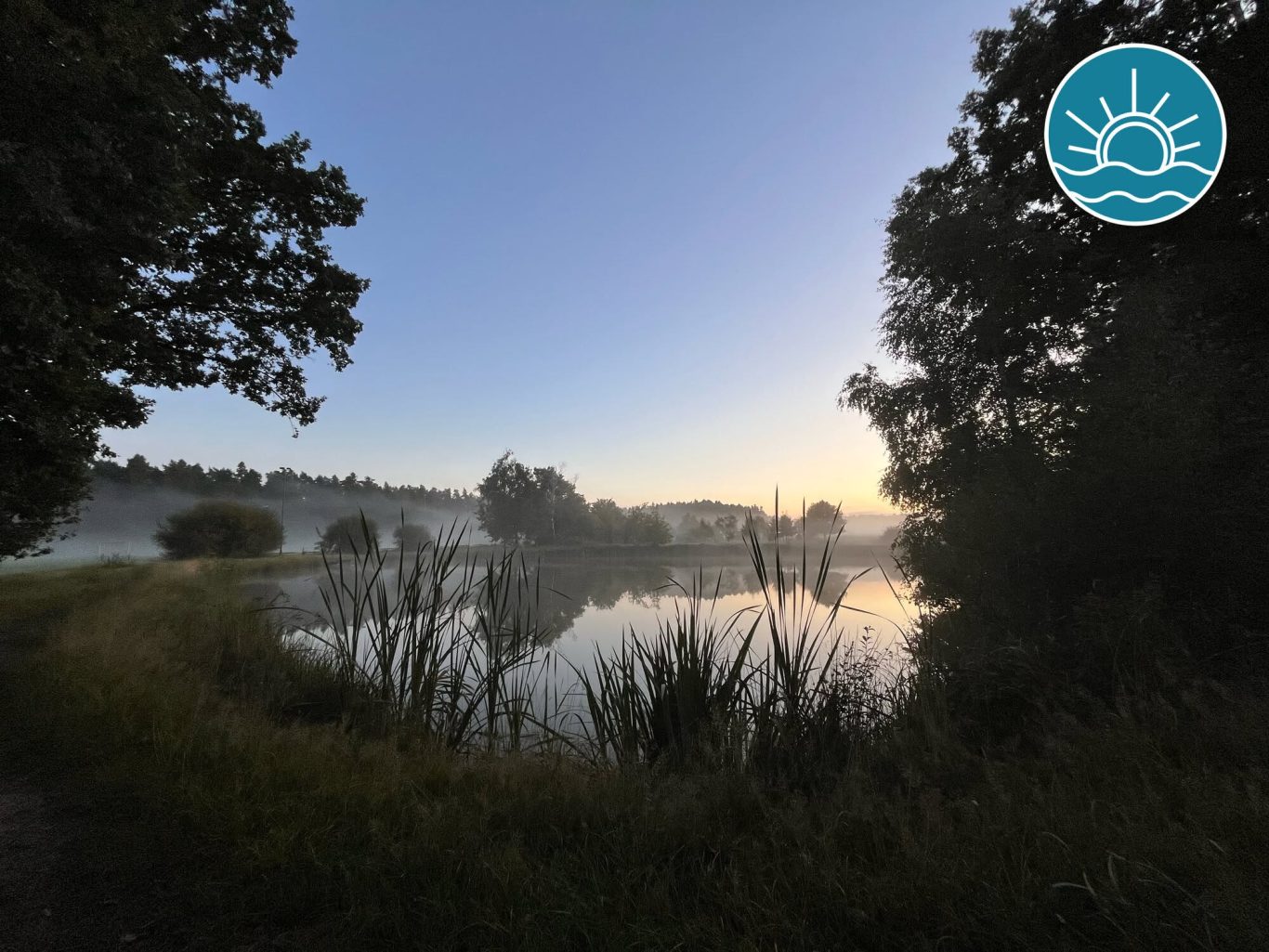 Abendstimmung am Krummweiher Morgendämmerung über einem nebligen See, umgeben von Bäumen und sanften Hügeln.